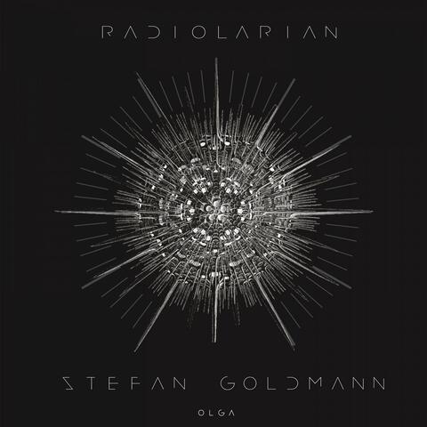 Radiolarian