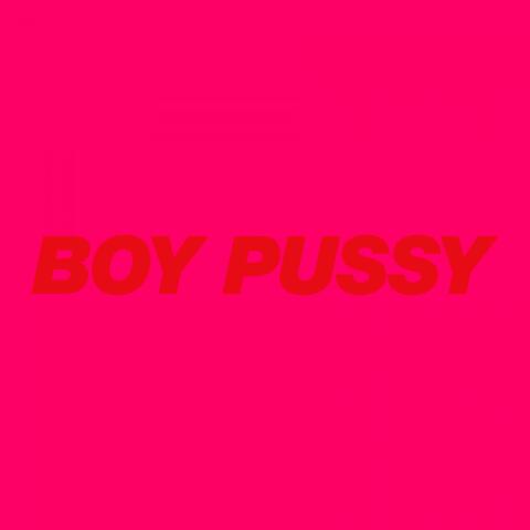 Boy Pussy