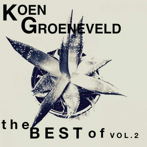 The Best Of, Vol.2