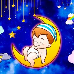 Fly With The Stars