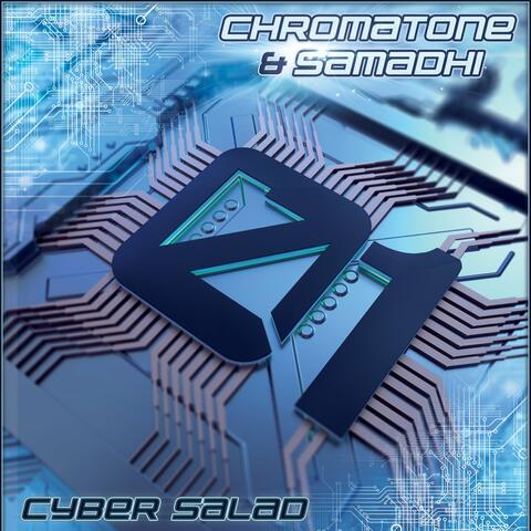 Cyber Salad