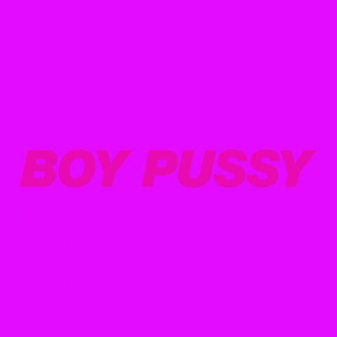 Boy Pussy: The Remixes, Vol. 2