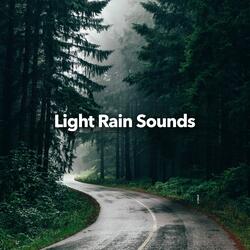 Light Rain