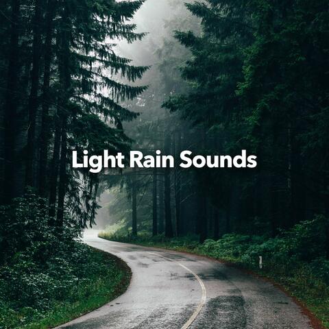 Light Rain Sounds