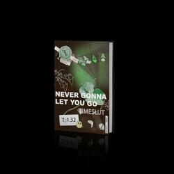 Never Gonna Let You Go