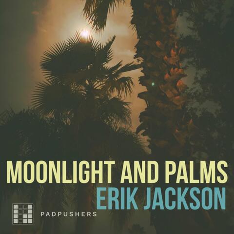 Moonlight and Palms