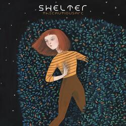 Shelter