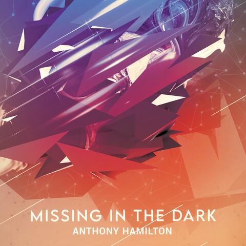 Missing In The Dark