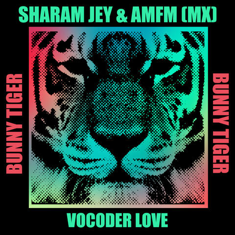 Vocoder Love