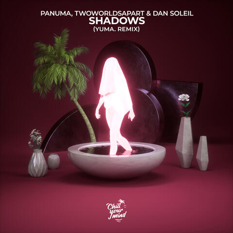 Shadows