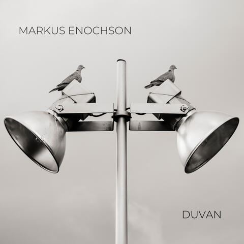 Duvan