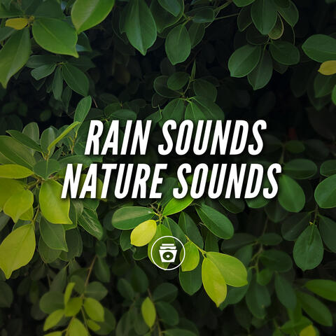 Rain Sounds Nature Sounds