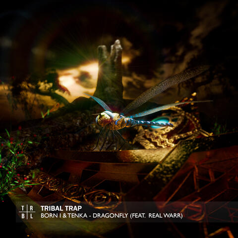 Dragonfly