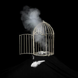 Free