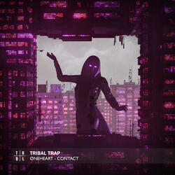 Contact
