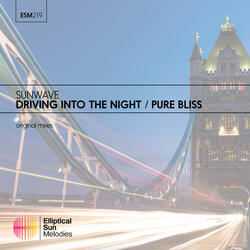 Driving Into The Night