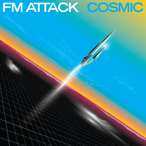 FM Attack