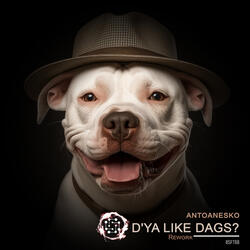 D'Ya Like Dags?