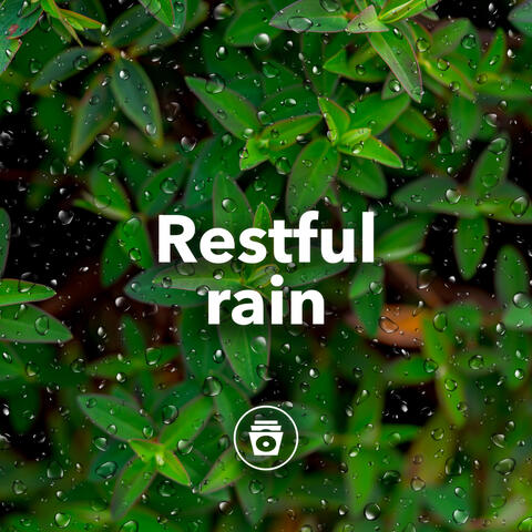 Restful Rain