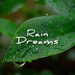 Rain Forests