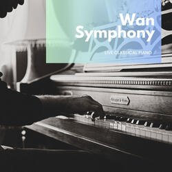 Piano Sonata No. 9 in D major, K. 311/284c: I. Allegro con spirito
