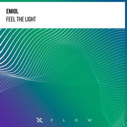 Feel The Light