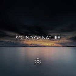Whale Song