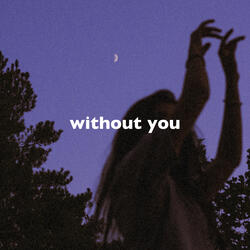 Without You (Slowed + Reverb)