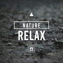 Rain Sounds For Relaxing