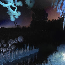 Balam Nebula, the Dawn Among Trees and Star