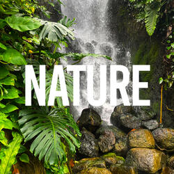 Relaxing River Sounds