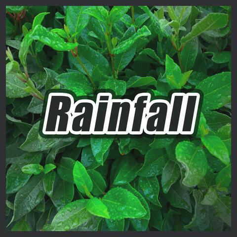 Thunder Storms & Rain Sounds