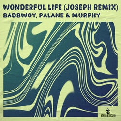 Wonderful Life