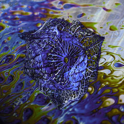 Funkadelic Particles