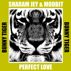 Perfect Love