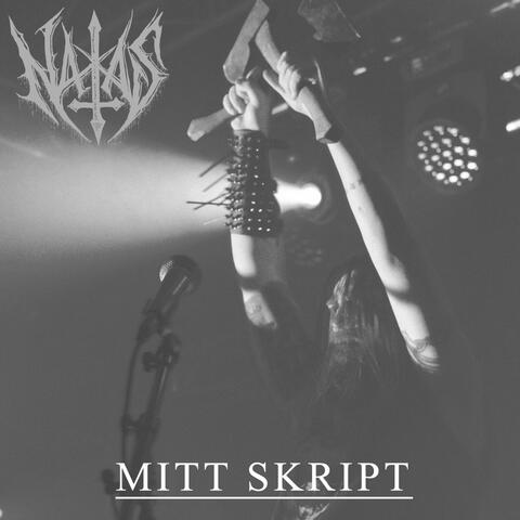 Mitt Skript