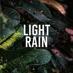 Artificial Rain