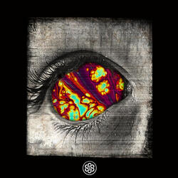 Macroscope
