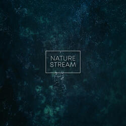 Nature Streams