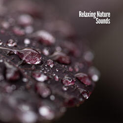 Sea Waves & Light Rain