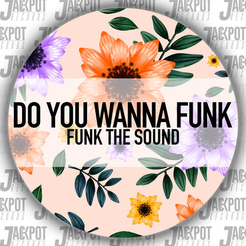 Do You Wanna Funk