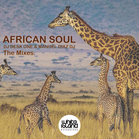 African Soul (The Mixes)