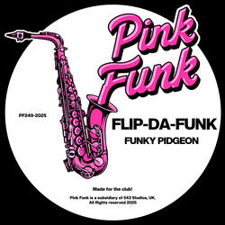 Funky Pidgeon