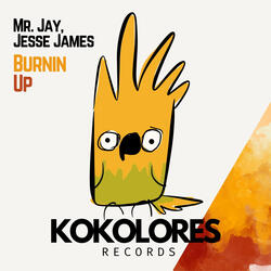 Burnin Up