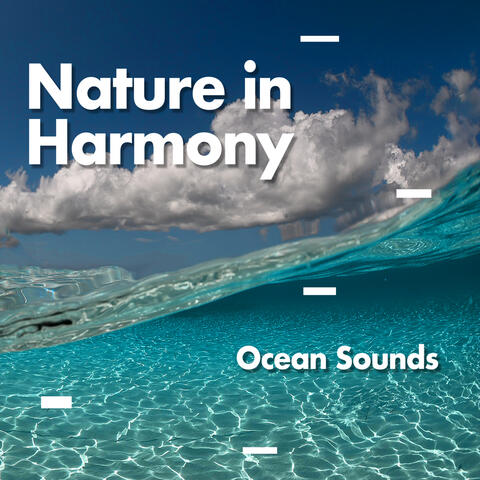 Nature In Harmony