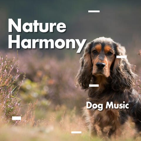 Nature Harmony