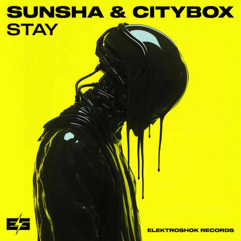 Stay