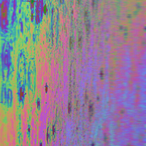 Princess of the Desert