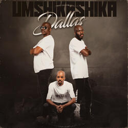 Umshikashika