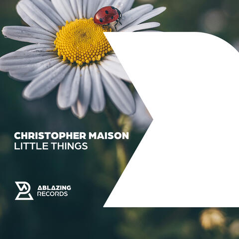 Little Things